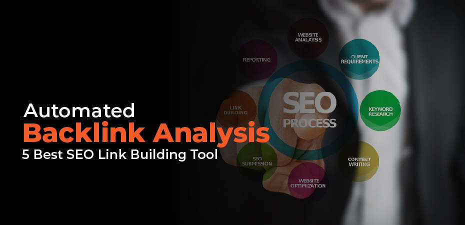 Automated Backlink Analysis