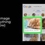 How To Report Image on Google